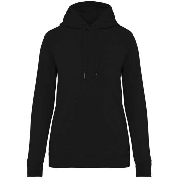 Native Spirit Ladies Raglan Sleeve Hoodie