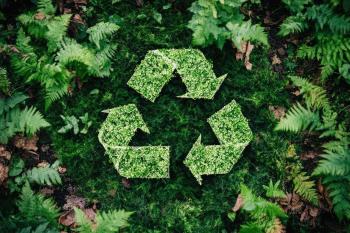Sustainability 