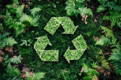 Sustainability 